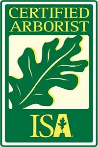 certified-arborist